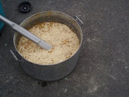 Report from New Zealand - Image 2