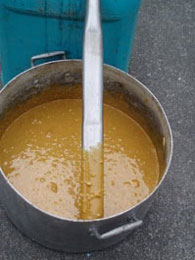 Report from New Zealand - Image 3